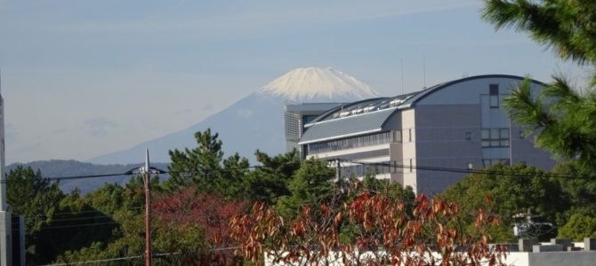 白い富士山と桜の紅葉
