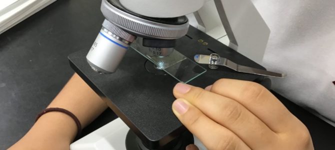 いろいろな実験