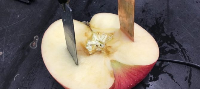 グループに分かれて研究開始 グループに分かれて研究開始