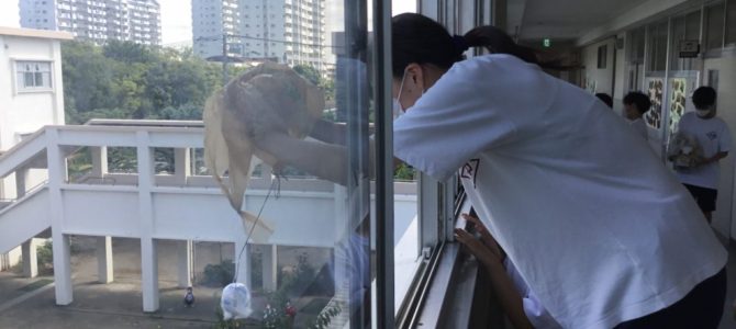 校内エッグドロップ大会1