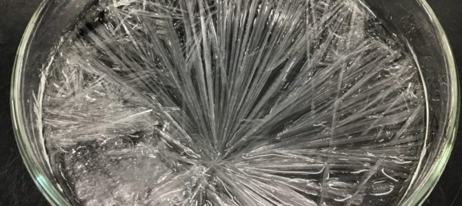 個人・グループ研究２