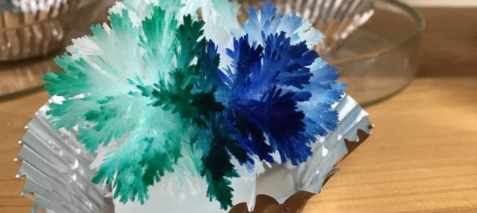 尿素の結晶づくり 尿素の結晶づくり