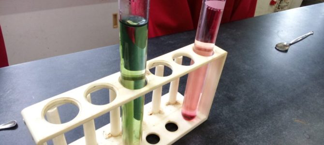 体験入部３　色が変わる水・水を通して見る世界