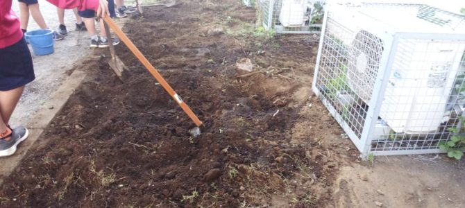 初めての畑作り 初めての畑作り